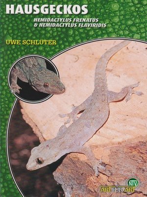 cover image of Hausgeckos